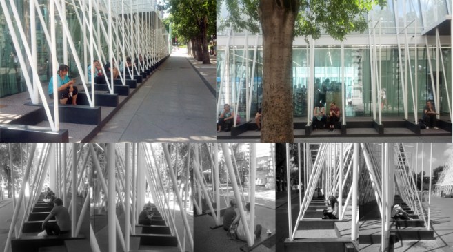 sitting bahaviour2_small