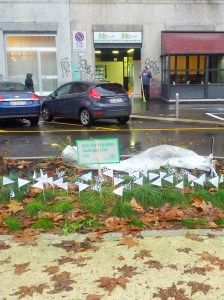 IMG_20141128_154536 (1)